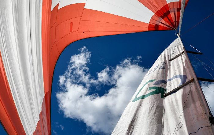 Article Image for A Guide to Antifouling: Traditional vs. New Solutions
