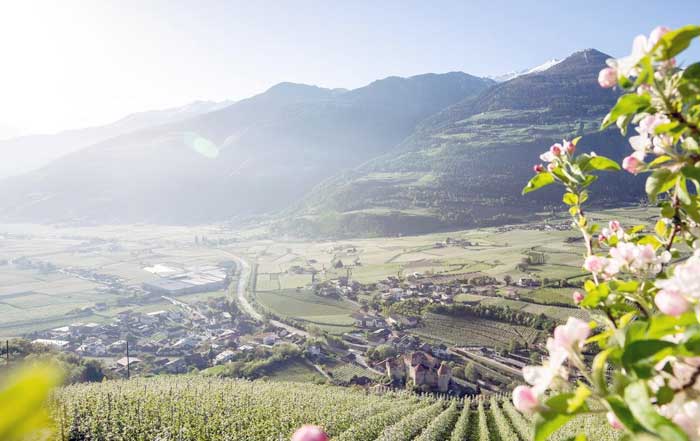 Hospitality Entrepreneurship Italys Yacht Trends