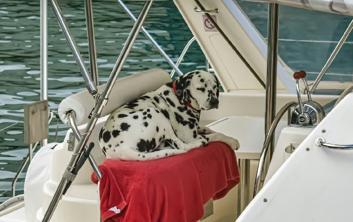 Article Image for The Business of Building Bespoke Furniture for Yachts