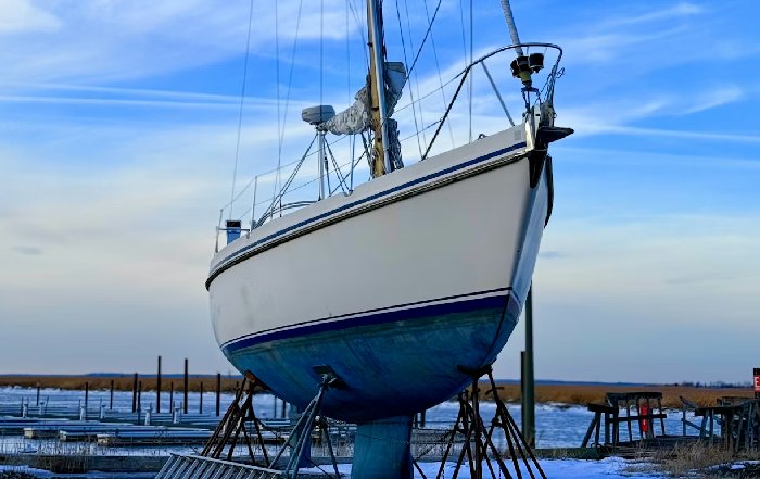 Article Image for The Economics of Yacht Ownership and Chartering